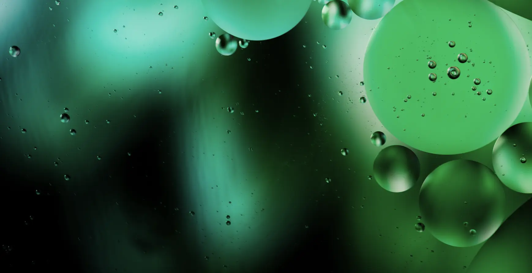 Alkaline rocks neutralize carbonic acid in soils